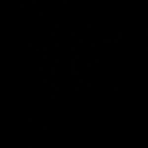 Meet your Posher, Victor